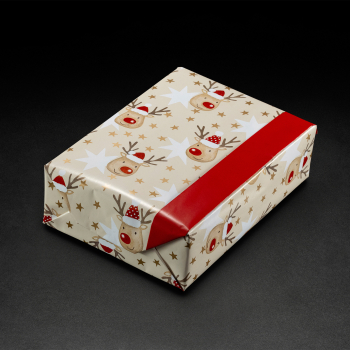 Preview: Weihnachtspapier Vasaa