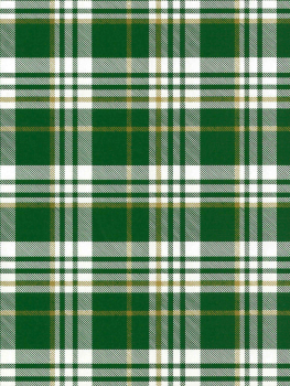 Geschenkpapier Plaid grün